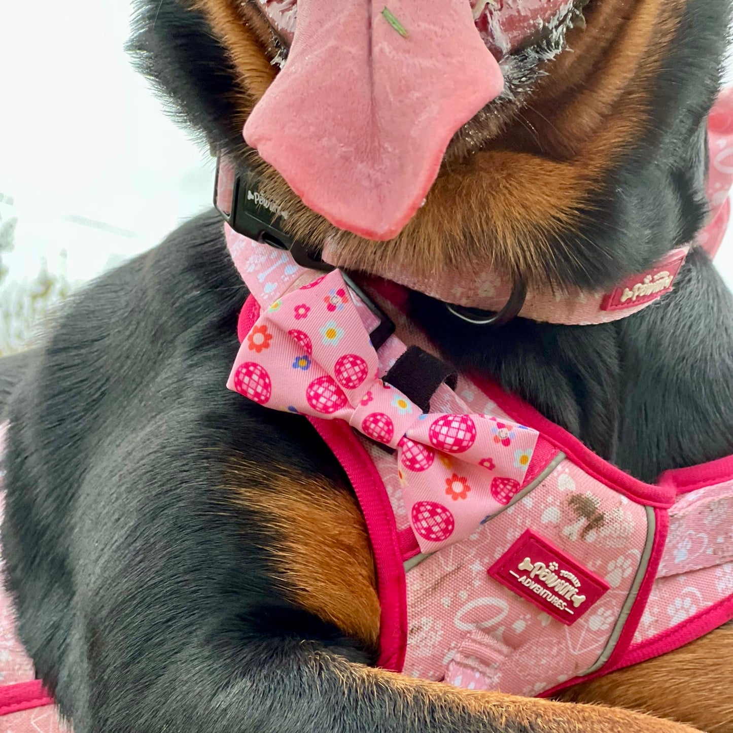 Bow Tie - Peace, Love & Disco