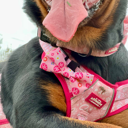 Bow Tie - Peace, Love & Disco