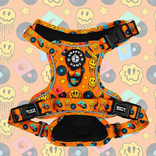 Grip & Groove Harness - Barkin' Beats