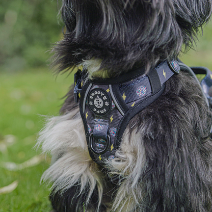 Grip & Groove Harness - Paw-Struck