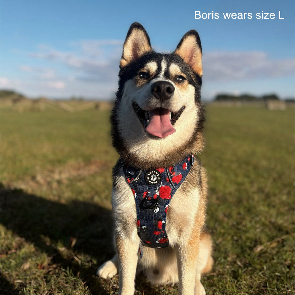 Grip & Groove Harness - Tails of Yin & Yang