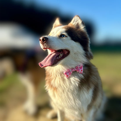 Bow Tie - Peace, Love & Disco