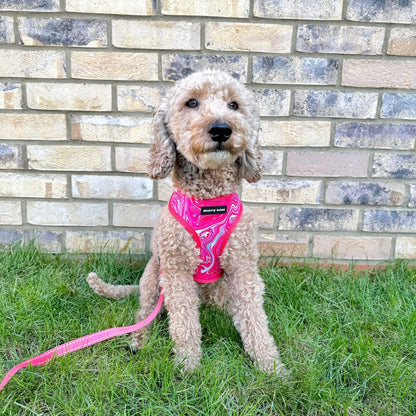 Reversible Harness - Psychedelic Pooch