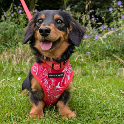 Reversible Harness - Psychedelic Pooch