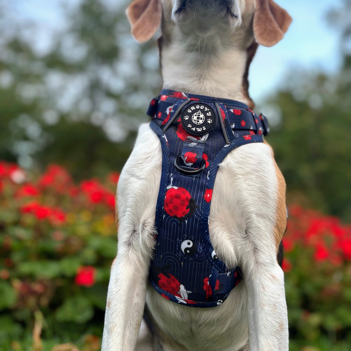 Grip & Groove Harness - Tails of Yin & Yang