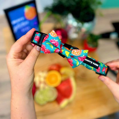 Collar - Funkin' Fruit