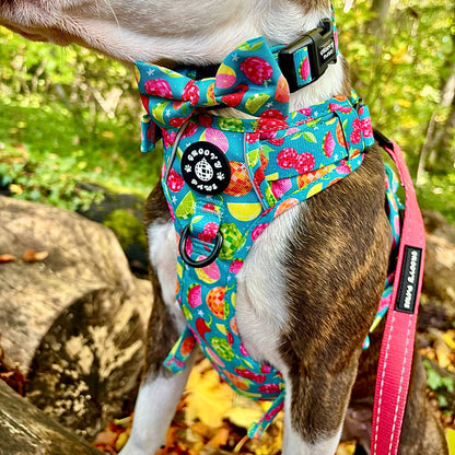 Bow Tie - Funkin' Fruit