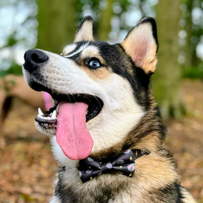 Bow Tie - Pawstruck