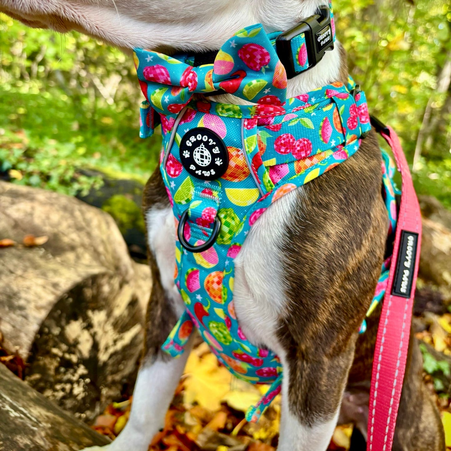 Bow Tie - Funkin' Fruit