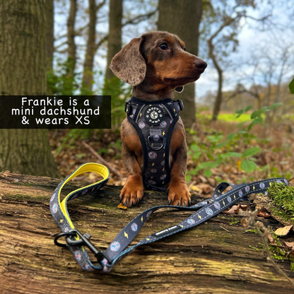 Grip & Groove Harness - Paw-Struck