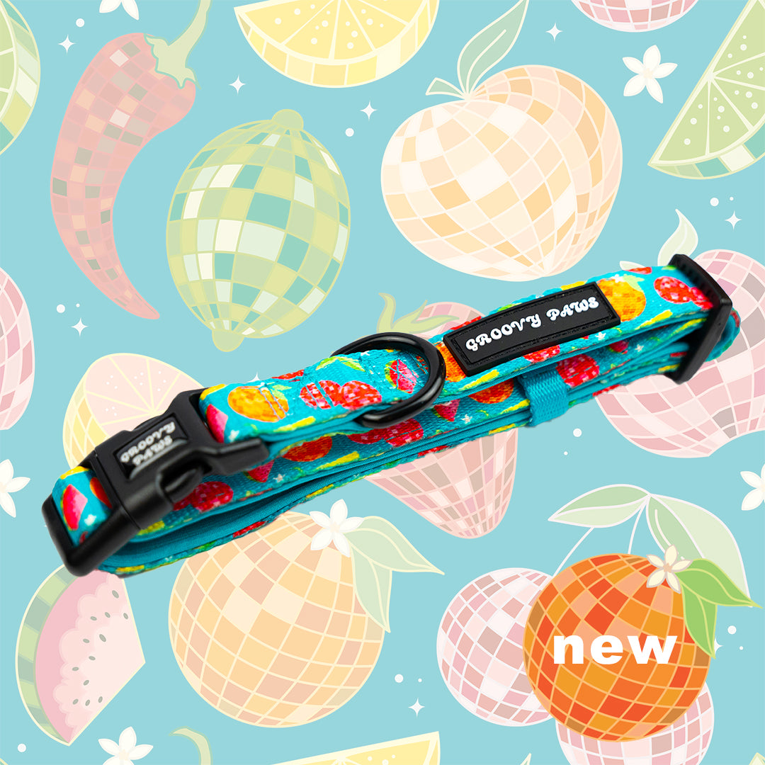 Collar - Funkin' Fruit