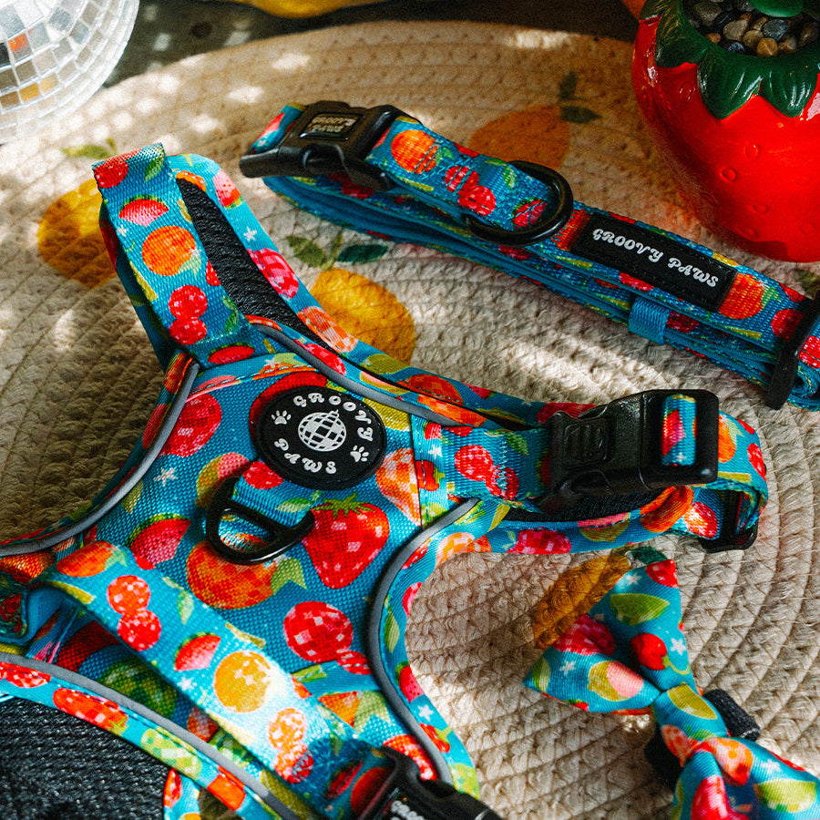 Grip & Groove Harness - Funkin' Fruit