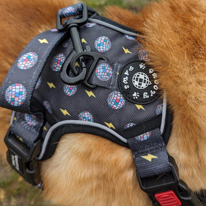 Grip & Groove Harness - Paw-Struck