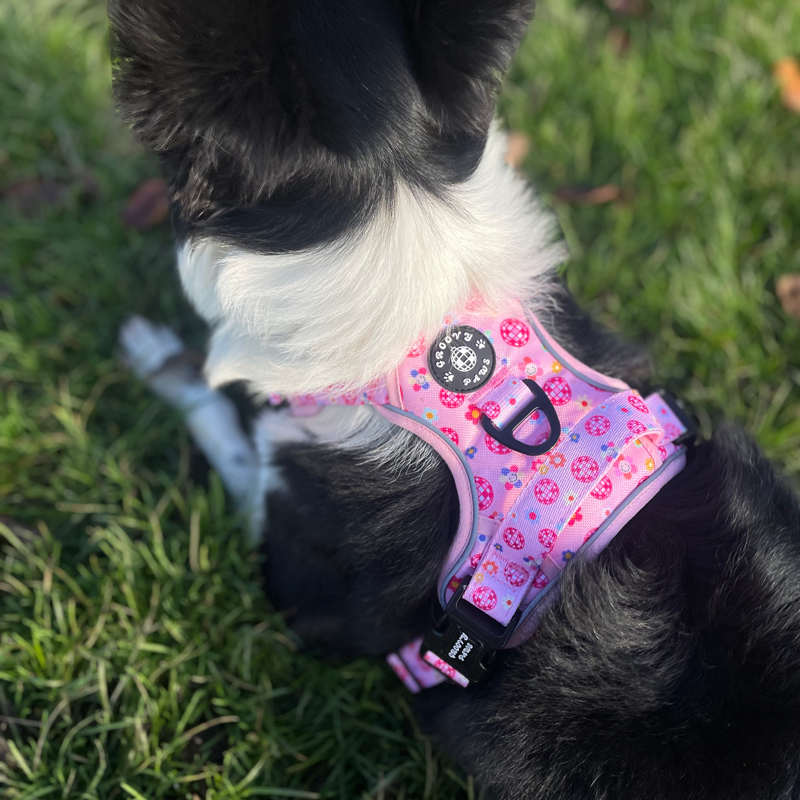 Grip Groove Reflective Adjustable Harness Peace Love Disco Groovy Paws