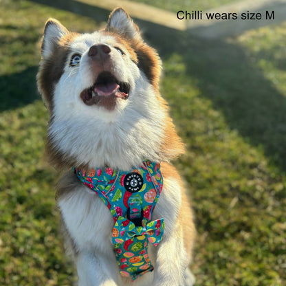 Grip & Groove Harness - Funkin' Fruit