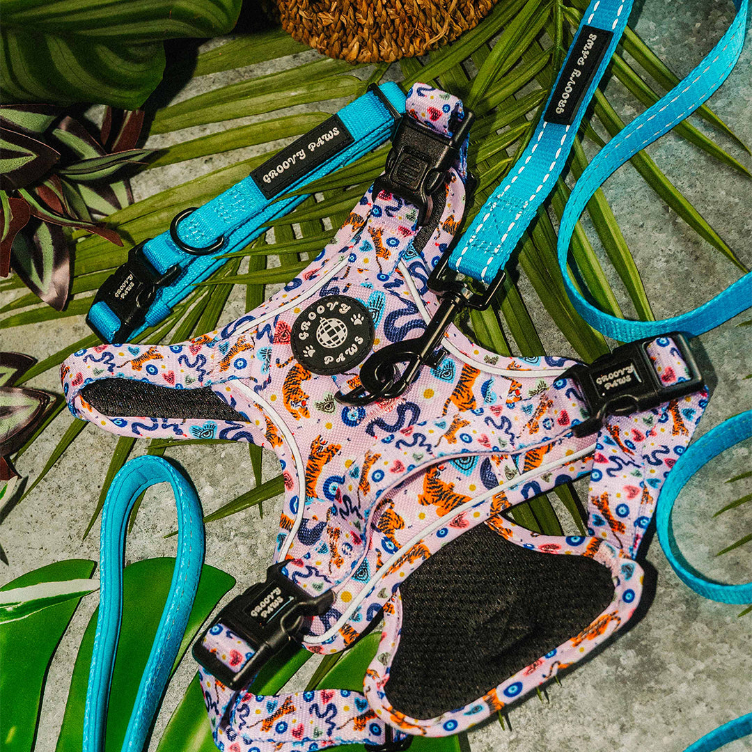 Grip & Groove Harness - Jungle Boogie