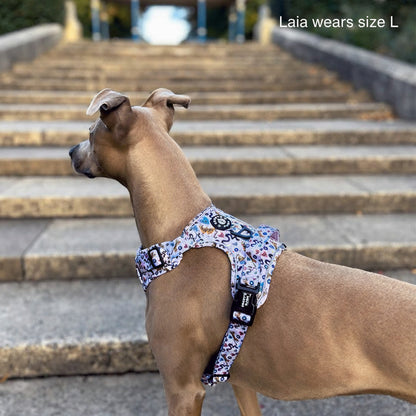 Grip & Groove Harness - Jungle Boogie