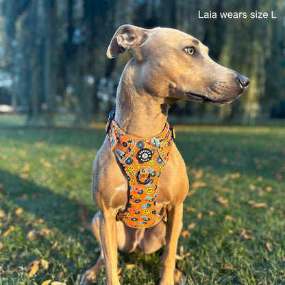 Grip & Groove Harness - Barkin' Beats