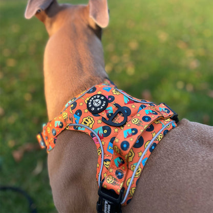 Grip & Groove Harness - Barkin' Beats