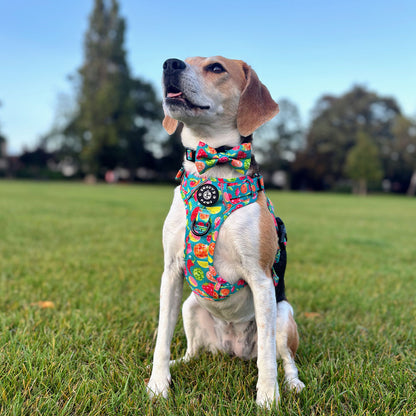 Grip & Groove Harness - Funkin' Fruit