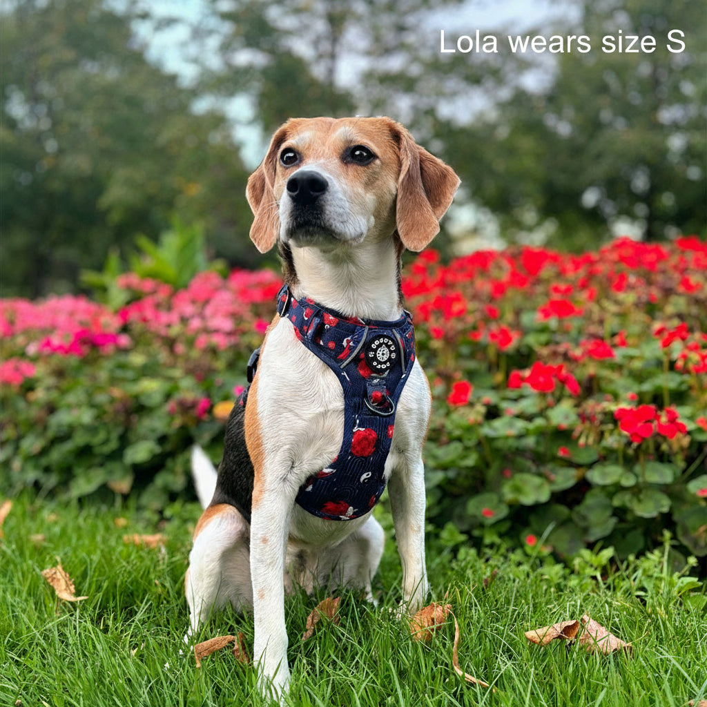 Grip & Groove Harness - Tails of Yin & Yang