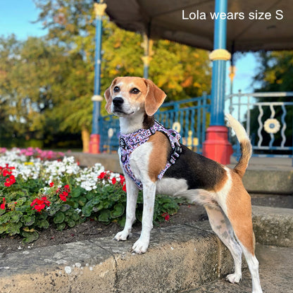 Grip & Groove Harness - Jungle Boogie