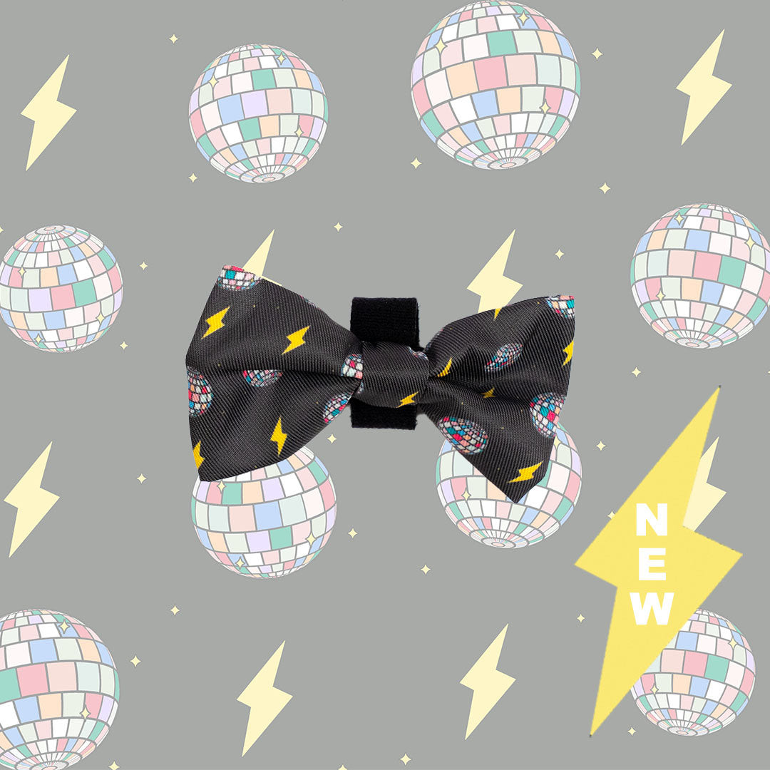 Bow Tie - Pawstruck