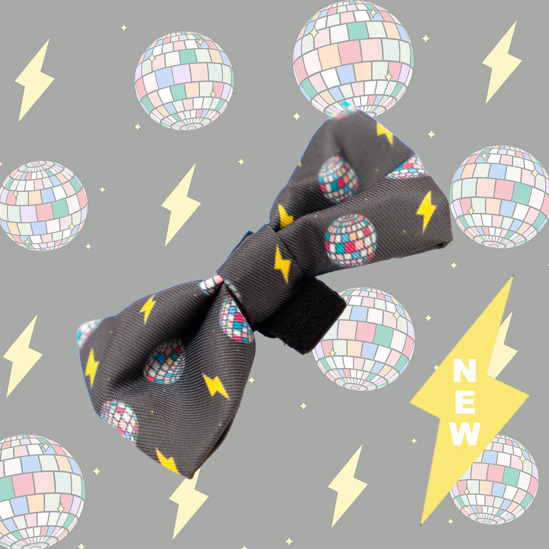 Bow Tie - Pawstruck