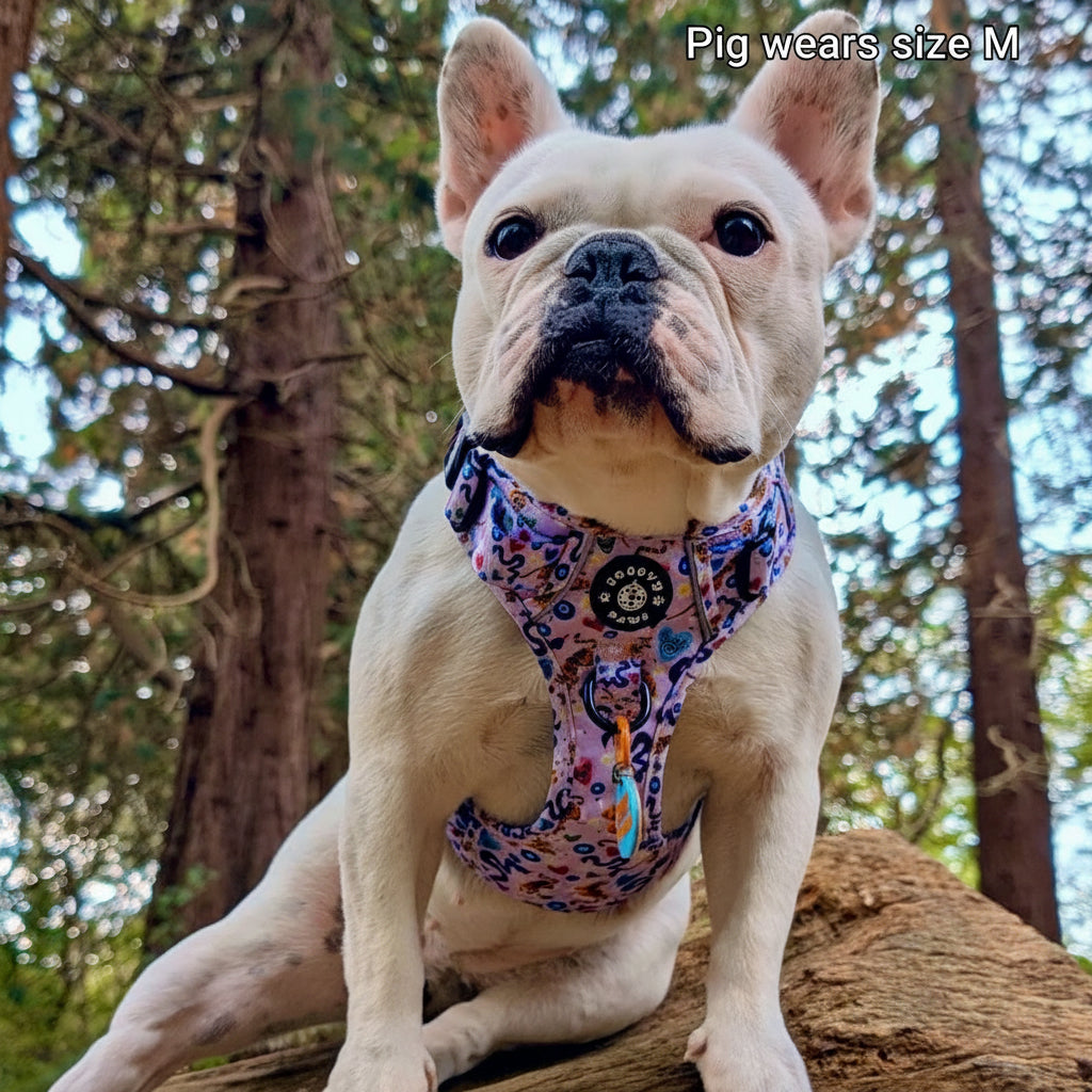 Grip & Groove Harness - Jungle Boogie