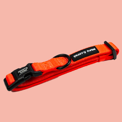 Collar - Psychedelic Pooch