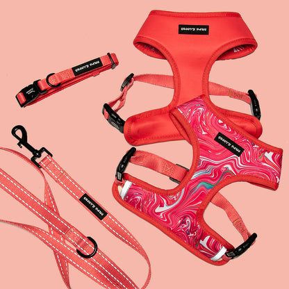 Collar - Psychedelic Pooch