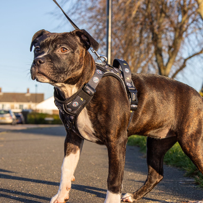 Grip & Groove Harness - Paw-Struck