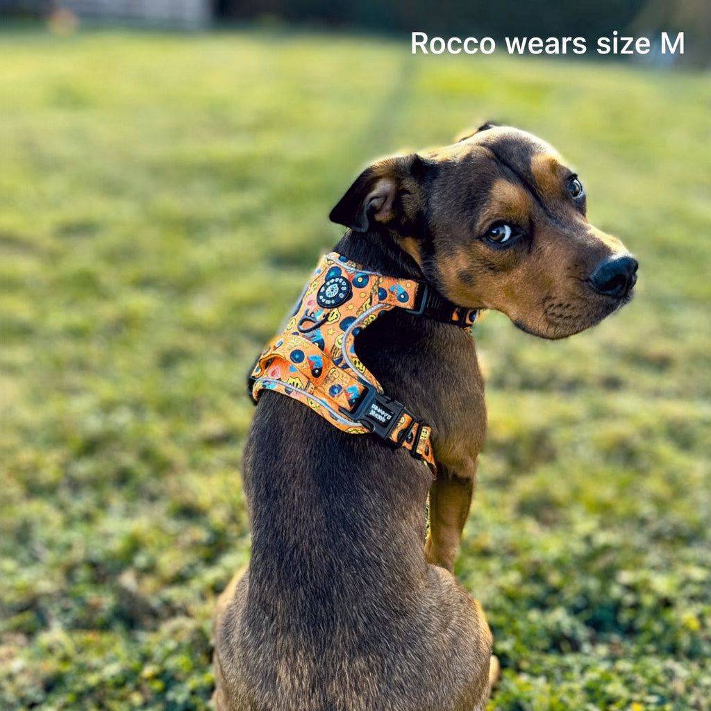 Grip & Groove Harness - Barkin' Beats