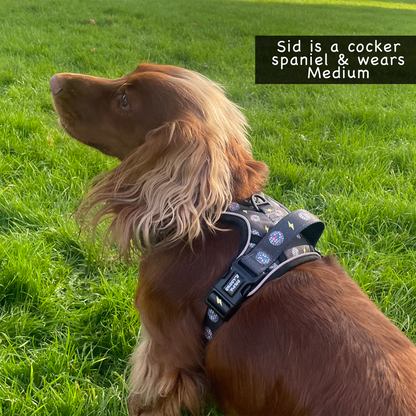 Grip & Groove Harness - Paw-Struck