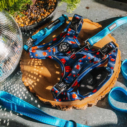 Grip & Groove Harness - Tails of Yin & Yang