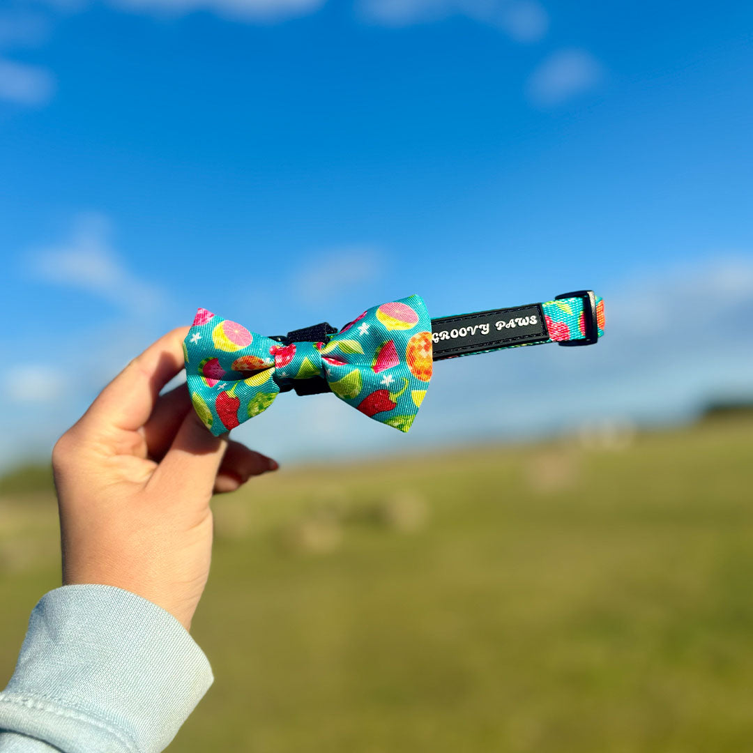 Collar - Funkin' Fruit