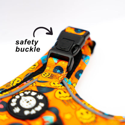 Grip & Groove Harness - Barkin' Beats