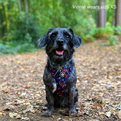 Grip & Groove Harness - Tails of Yin & Yang