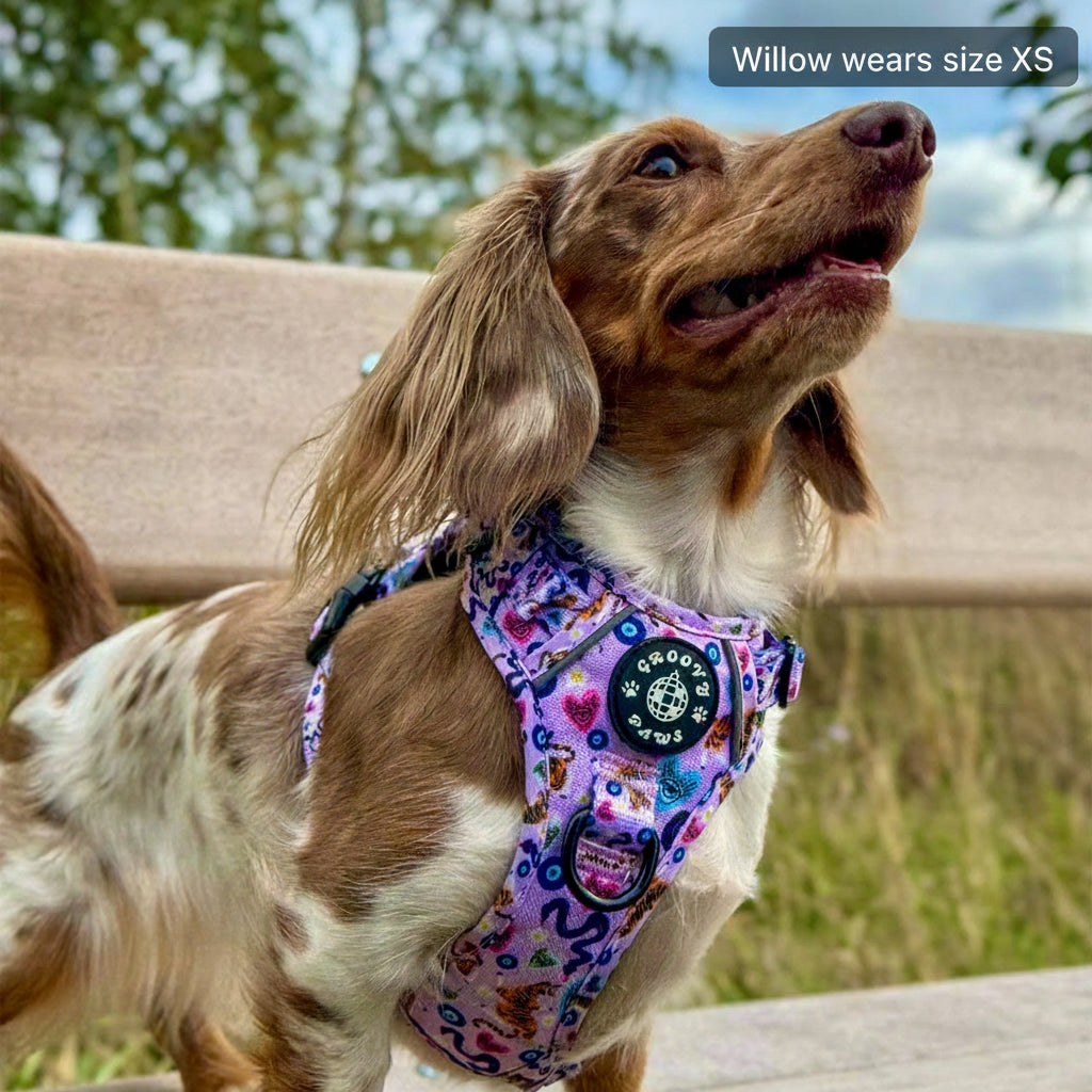 Grip & Groove Harness - Jungle Boogie